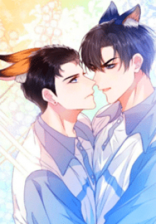 A Wild Cat Likes To Sleep With Me A Wild Cat Likes To Sleep With Me