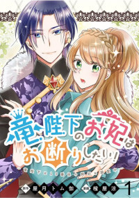 Ryuuheika no Okisaki wa Okotowari Shitai! Ryuuheika no Okisaki wa Okotowari Shitai!