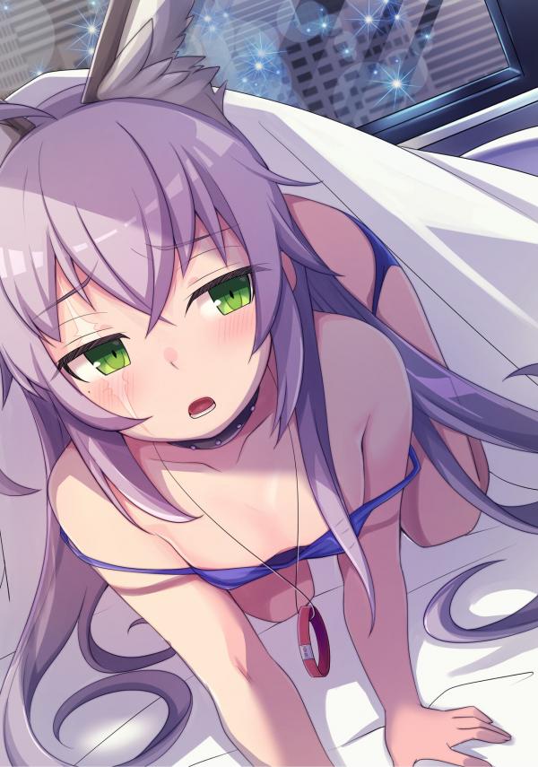 Temporary Break With a Bed Sharing Service Included Temporary Break With a Bed Sharing Service Included